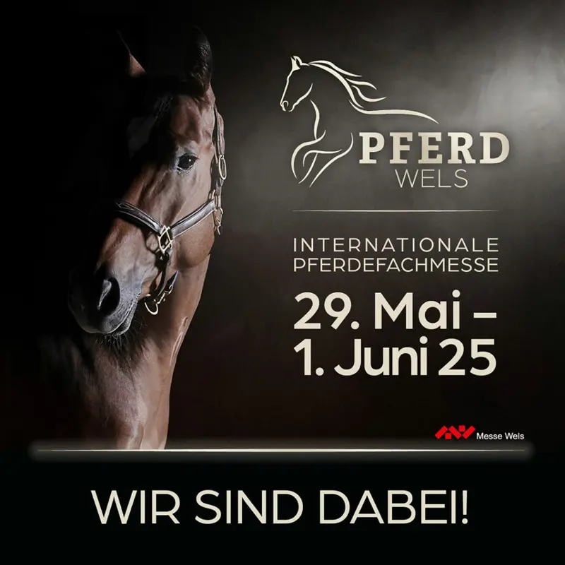 Pferd Wels 2025