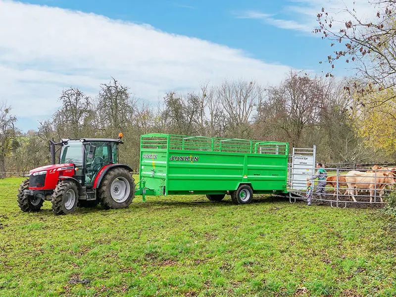 Un tractor roșu trage o remorcă verde pentru animale Joskin Betimax Animale în pășune, vitele fiind în țarc în dreapta.