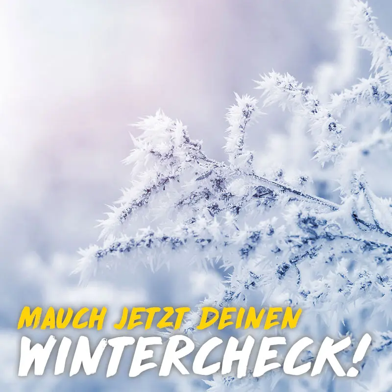 Husqvarna Wintercheck