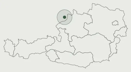 A cég telephelye