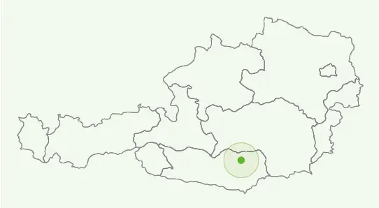 A cég telephelye