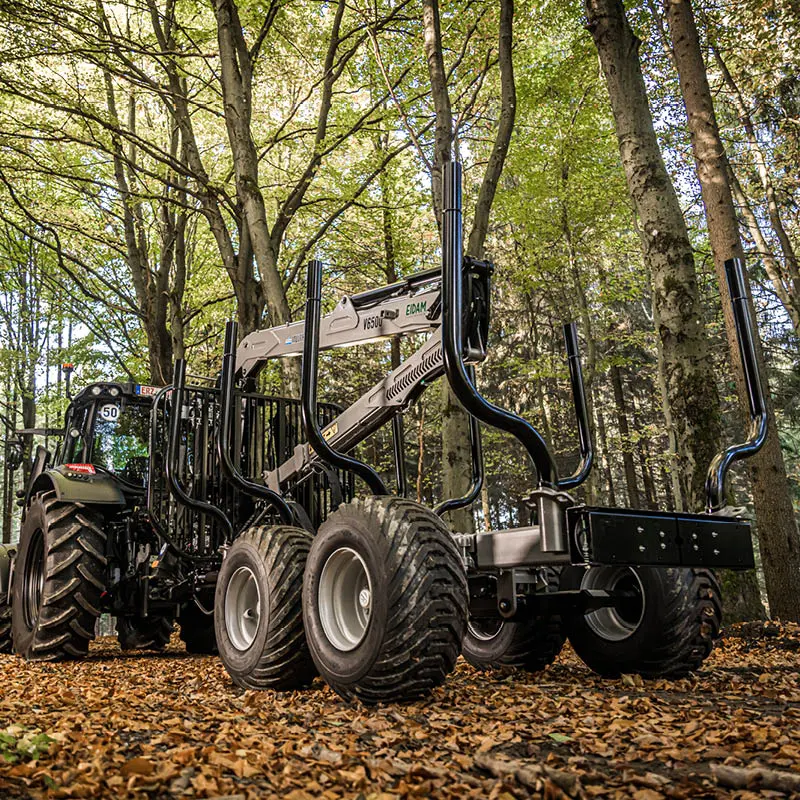 Trejon MF 950 / V6500 erdészeti pótkocsi az erdőben.