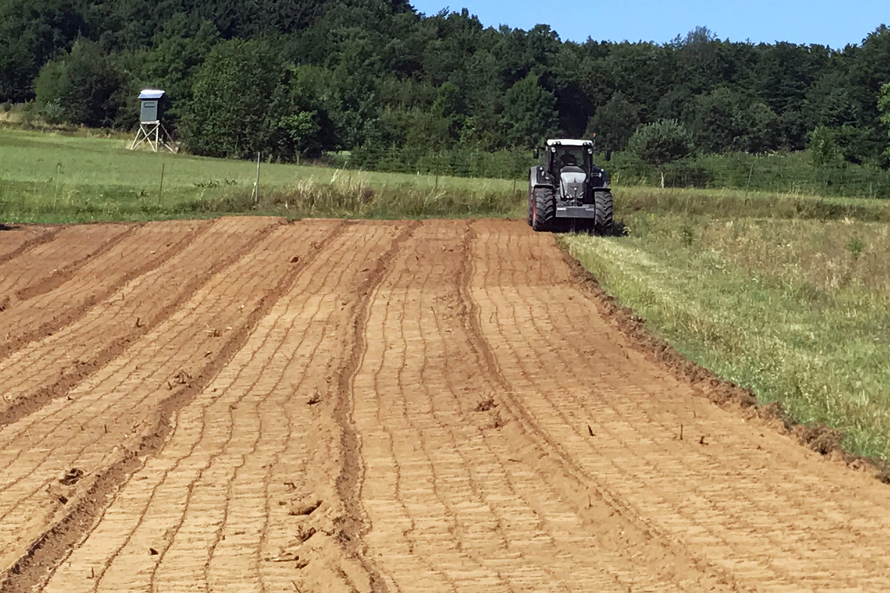 Ein Traktor pflügt ein Feld neben einem grünen Wald.