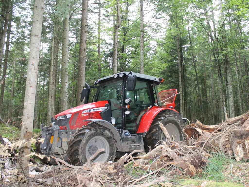 Roter Massey Ferguson Traktor fährt durch einen bewaldeten Bereich mit Baumstümpfen und Ästen.