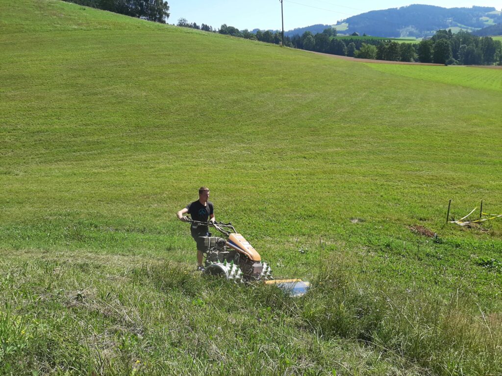 Човек коси стрму, зелену падину моторном косилицом.