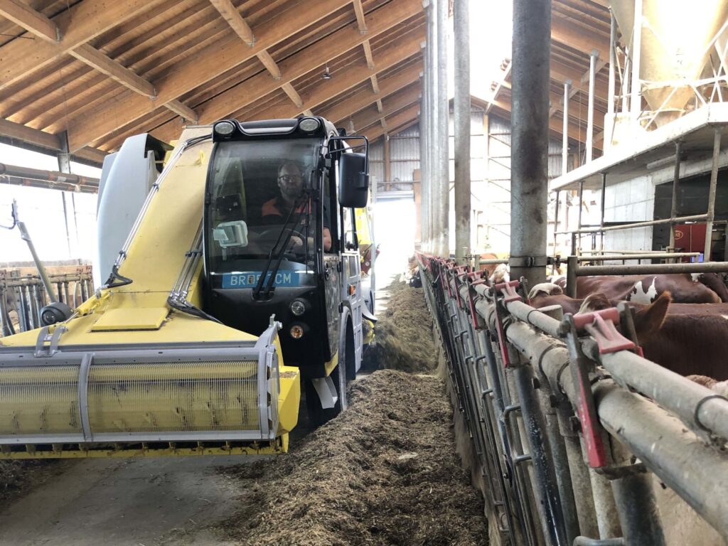 Mešalnik krme Sgariboldi MAV 6214 med hranjenjem v hlevu za govedo.