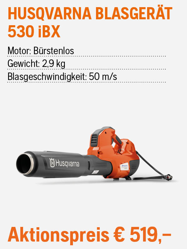 HUSQ Blasgerät 530 iBX