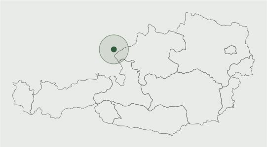 Irus Deltrak 2.5 mit Maehwerk - Rameth