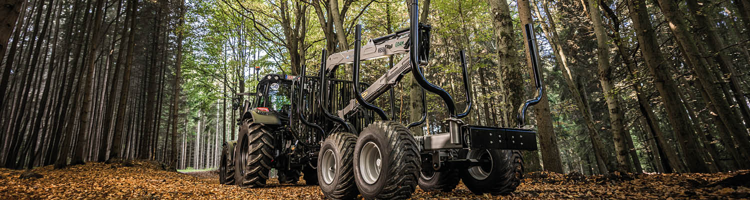 Trejon MF 950 / V6500 erdészeti pótkocsi az erdőben.